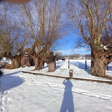 Camping Des Saules Jurbise Exterior photo
