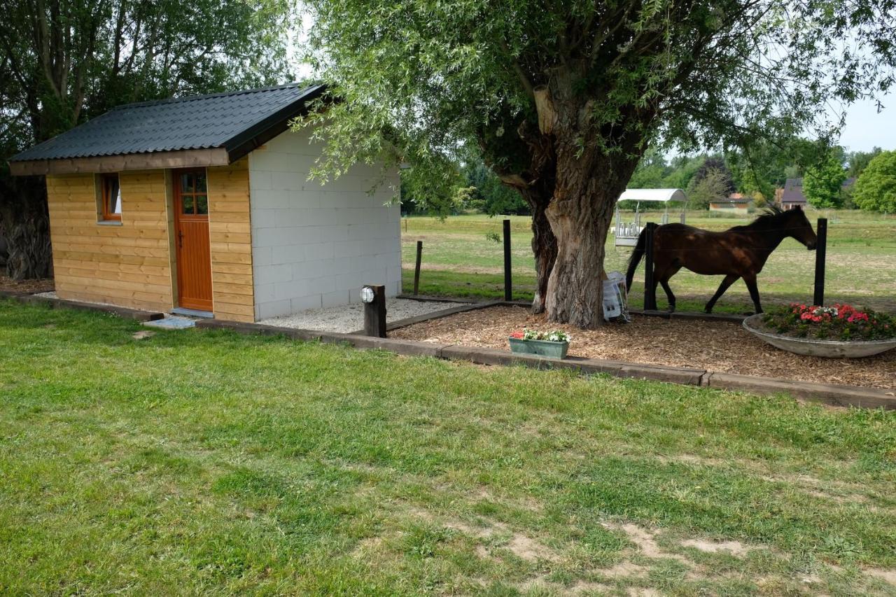 Camping Des Saules Jurbise Exterior photo